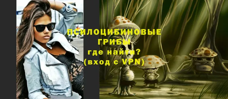 Галлюциногенные грибы Magic Shrooms  дарнет шоп  Пучеж 